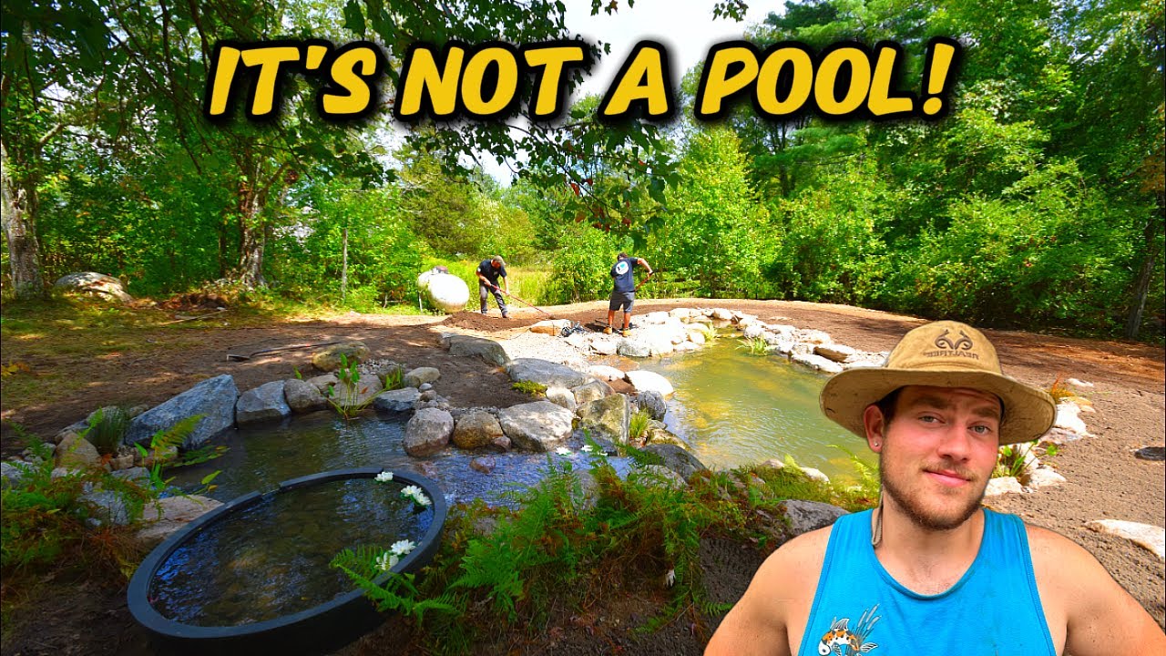 Natural Swimming Pond Cost in Massachusetts and New England (2026)