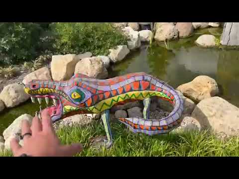 Natural Swimming Pond vs Chlorine Pool: An Honest Comparison for New England
