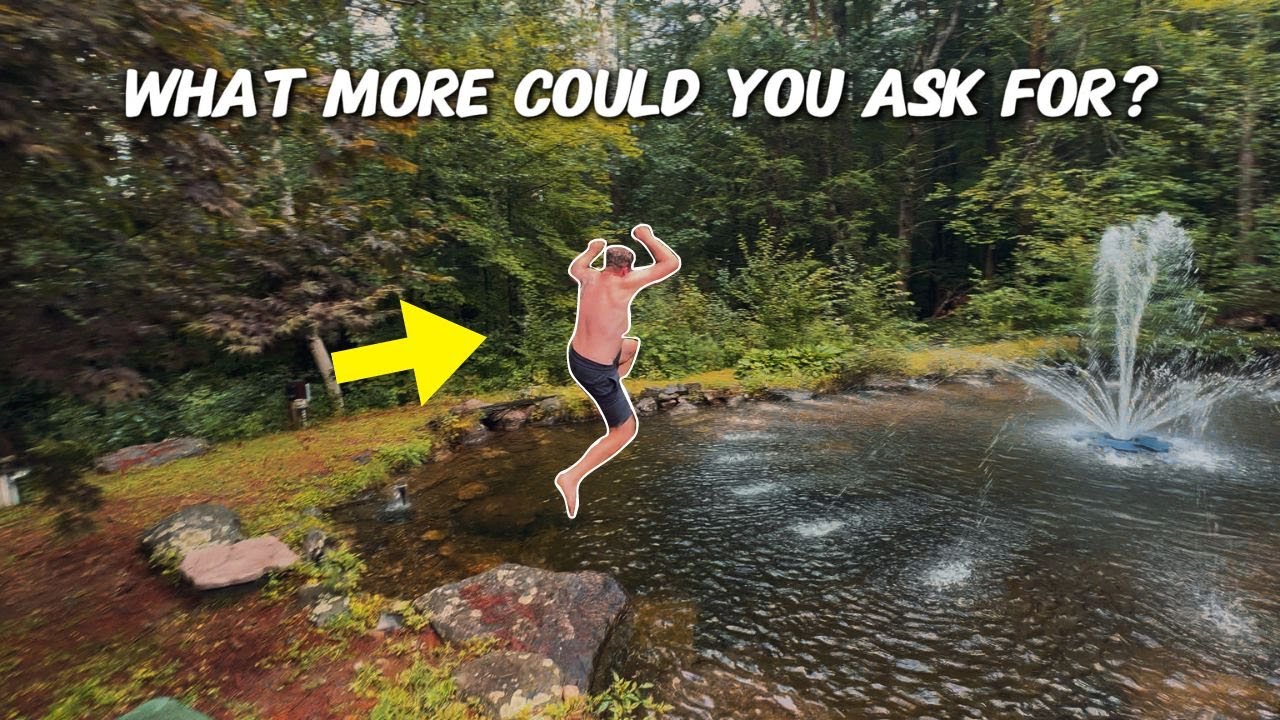 Is Your Yard Right for a Natural Swimming Pond? Space, Sun, Slope and Soil