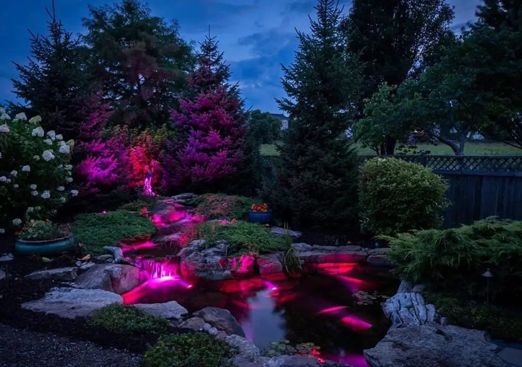 Pond Lighting: How to Light a Waterfall and Pond for Night