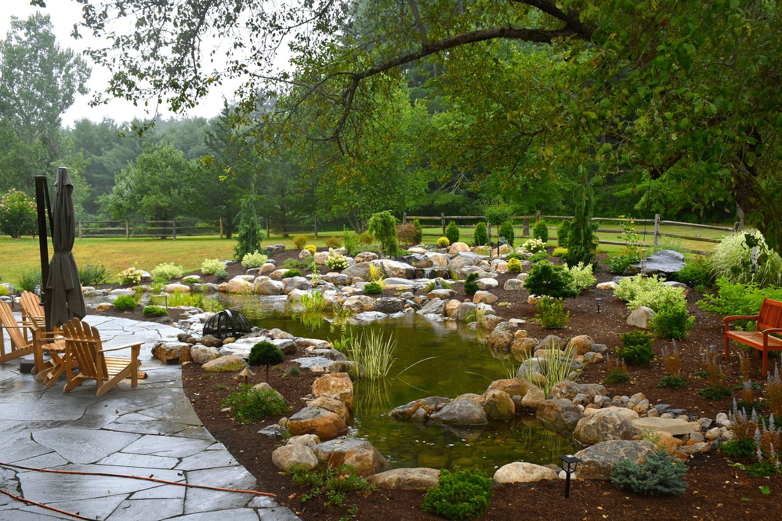 Tap Water in Your Pond: Chlorine, Fish Safety, and Smart Auto-Fill Valves