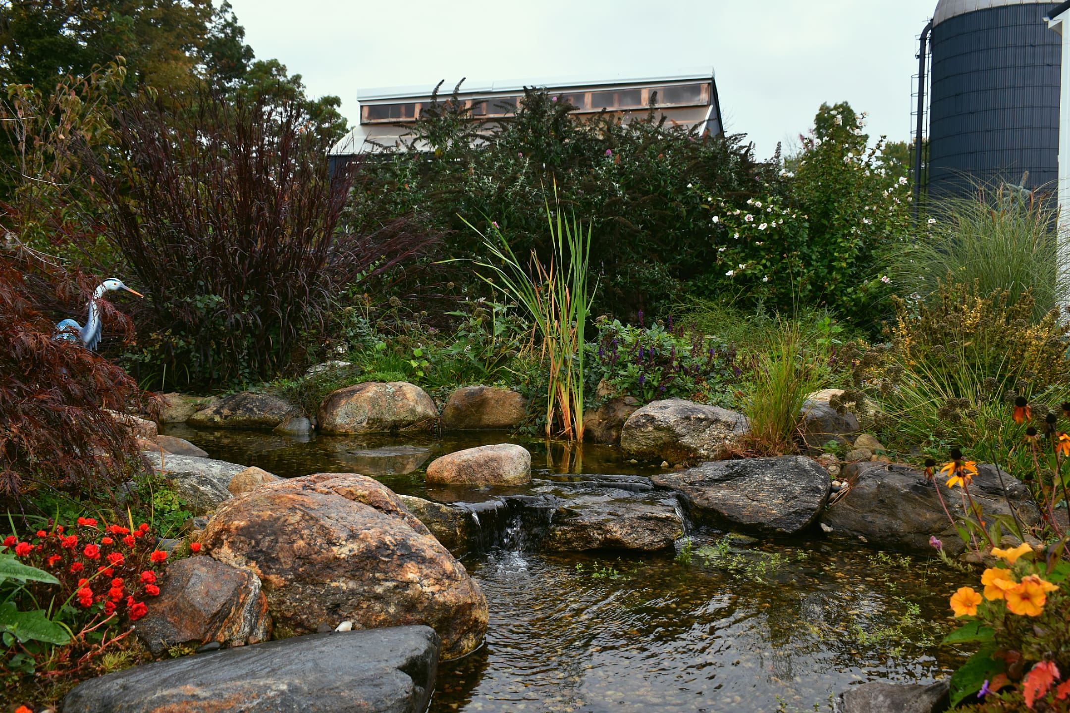 Quick Tips for Keeping Your New England Pond Clean Year-Round