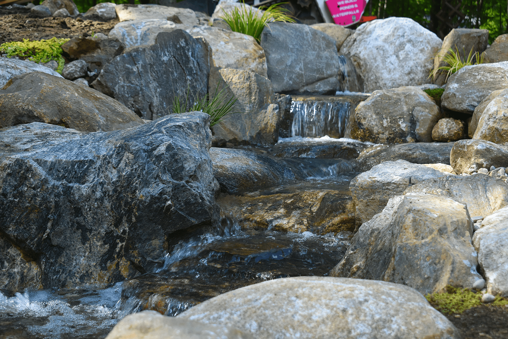 Constructed Wetland: Nature's Filtration