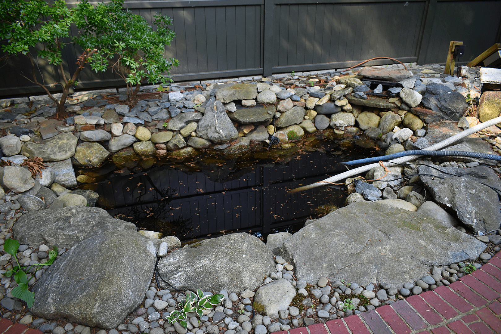 A Backyard Retreat That Feels Like "You" (and a Little Like Disney), photo 3