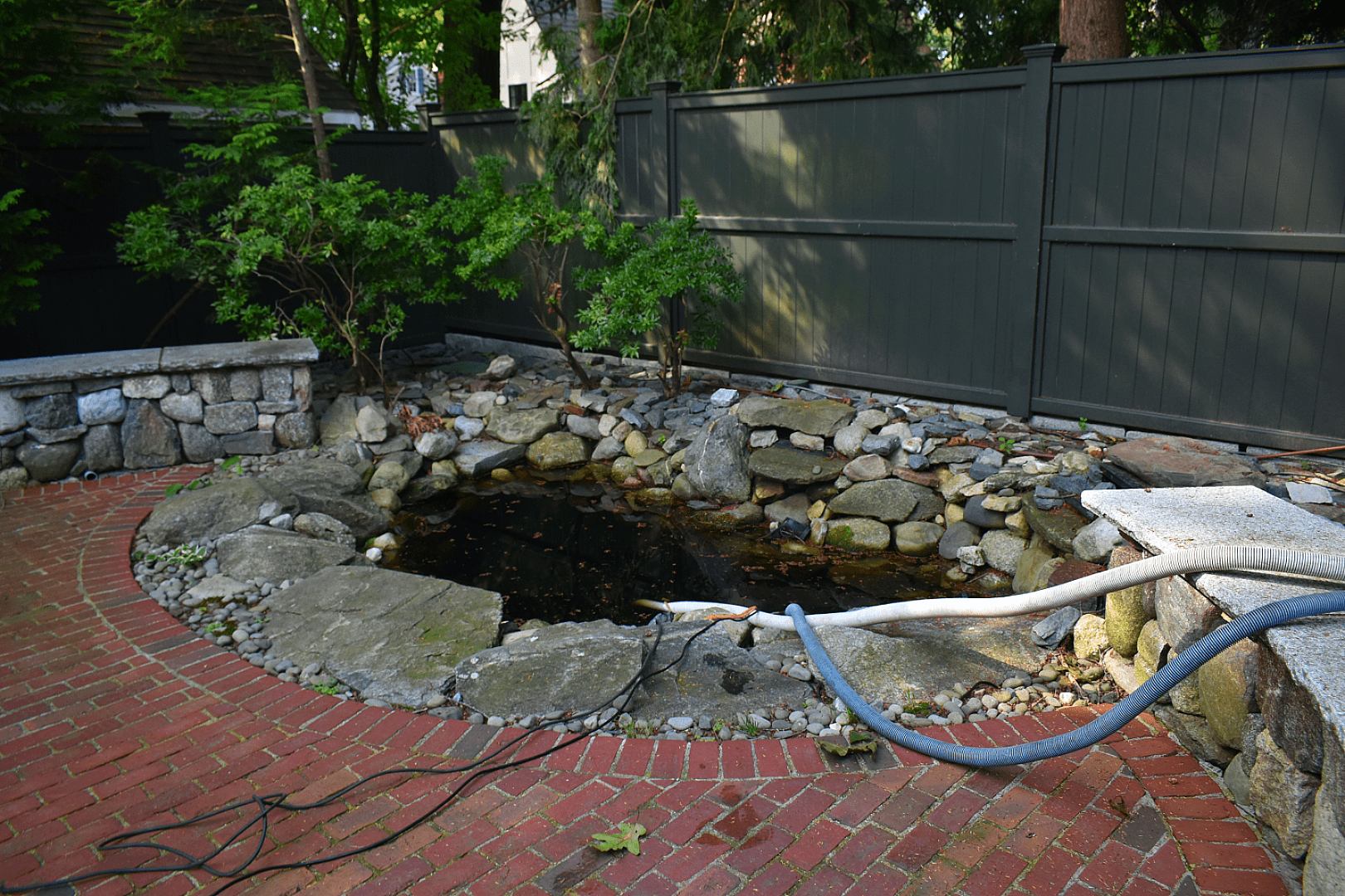A Backyard Retreat That Feels Like "You" (and a Little Like Disney), photo 4
