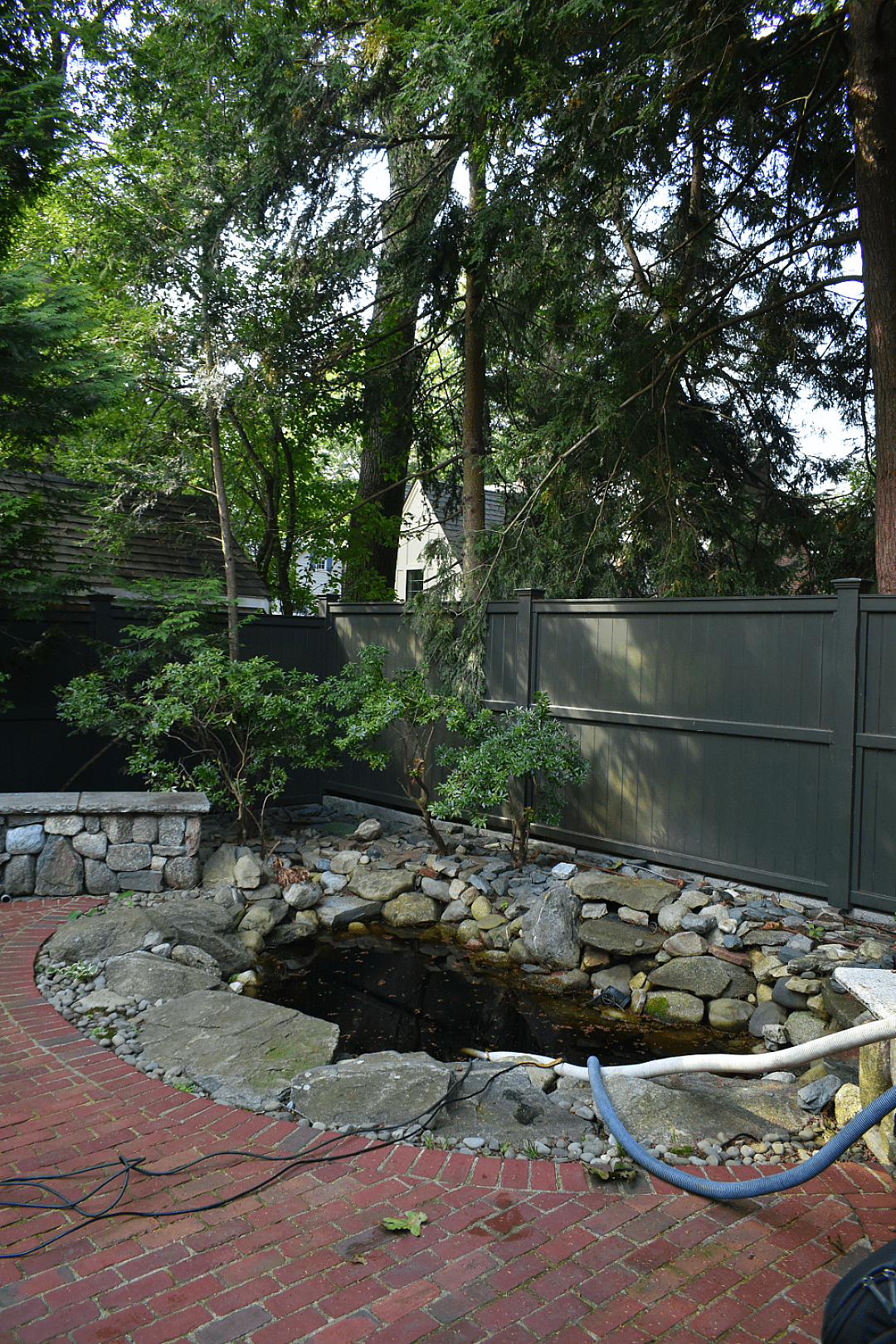 A Backyard Retreat That Feels Like "You" (and a Little Like Disney), photo 6