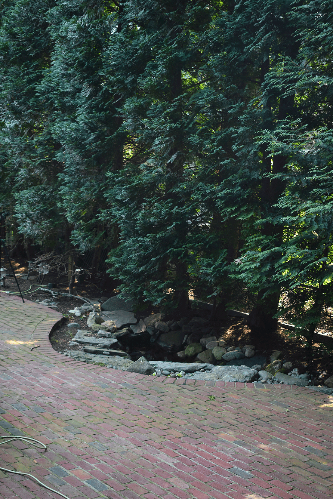 A Backyard Retreat That Feels Like "You" (and a Little Like Disney), photo 7