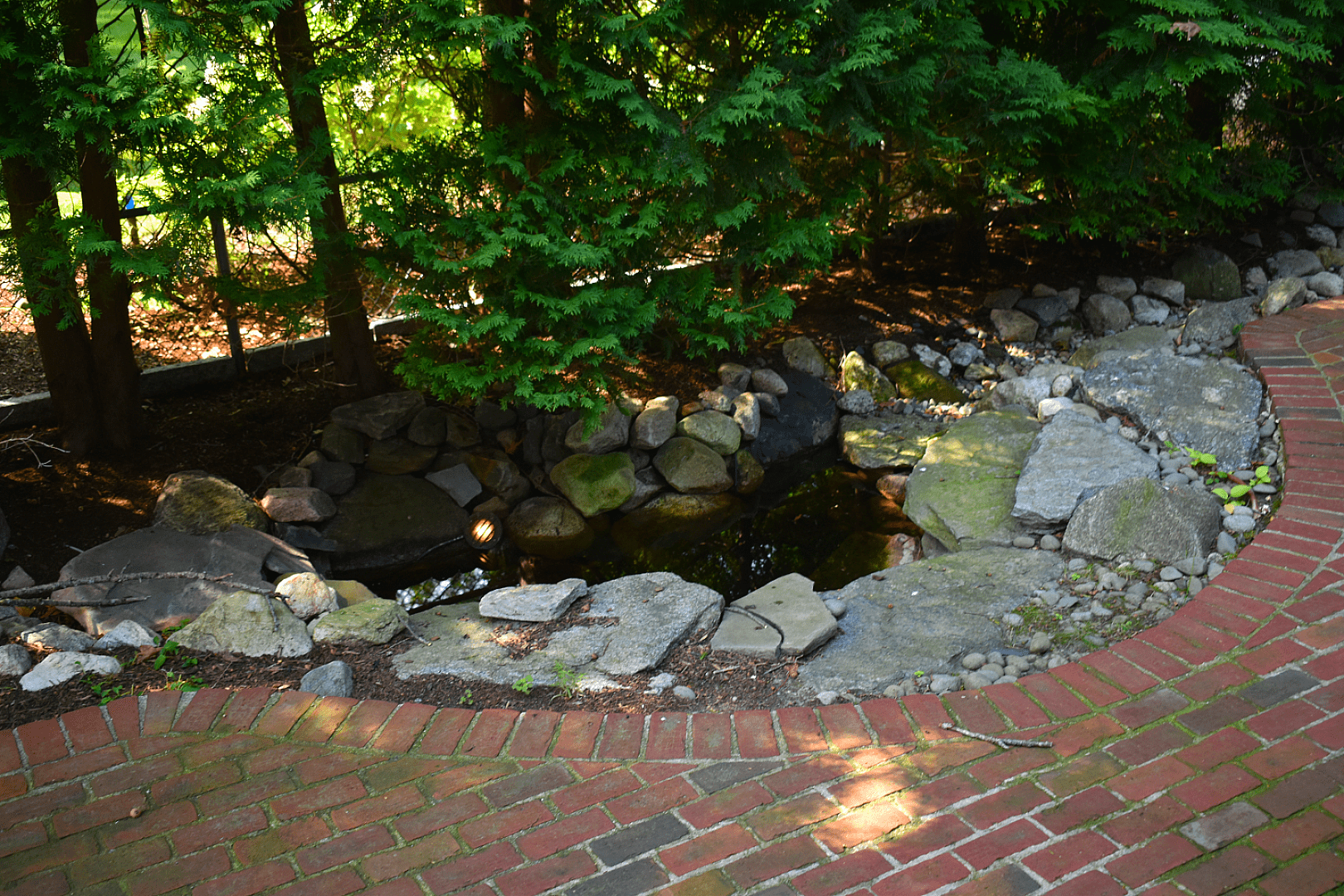 A Backyard Retreat That Feels Like "You" (and a Little Like Disney), photo 10