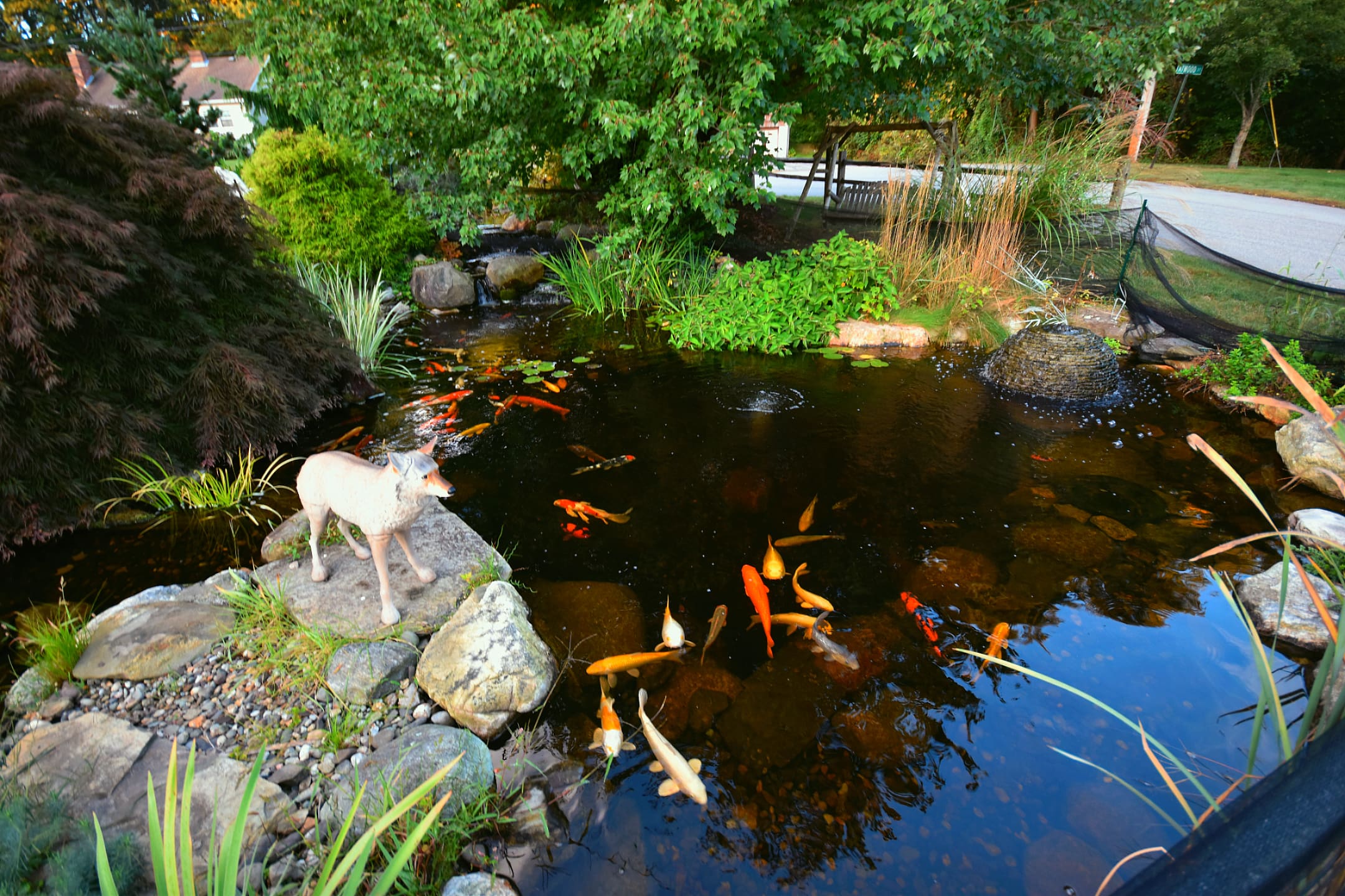 Planning Your Dream Water Feature: What Comes Next?