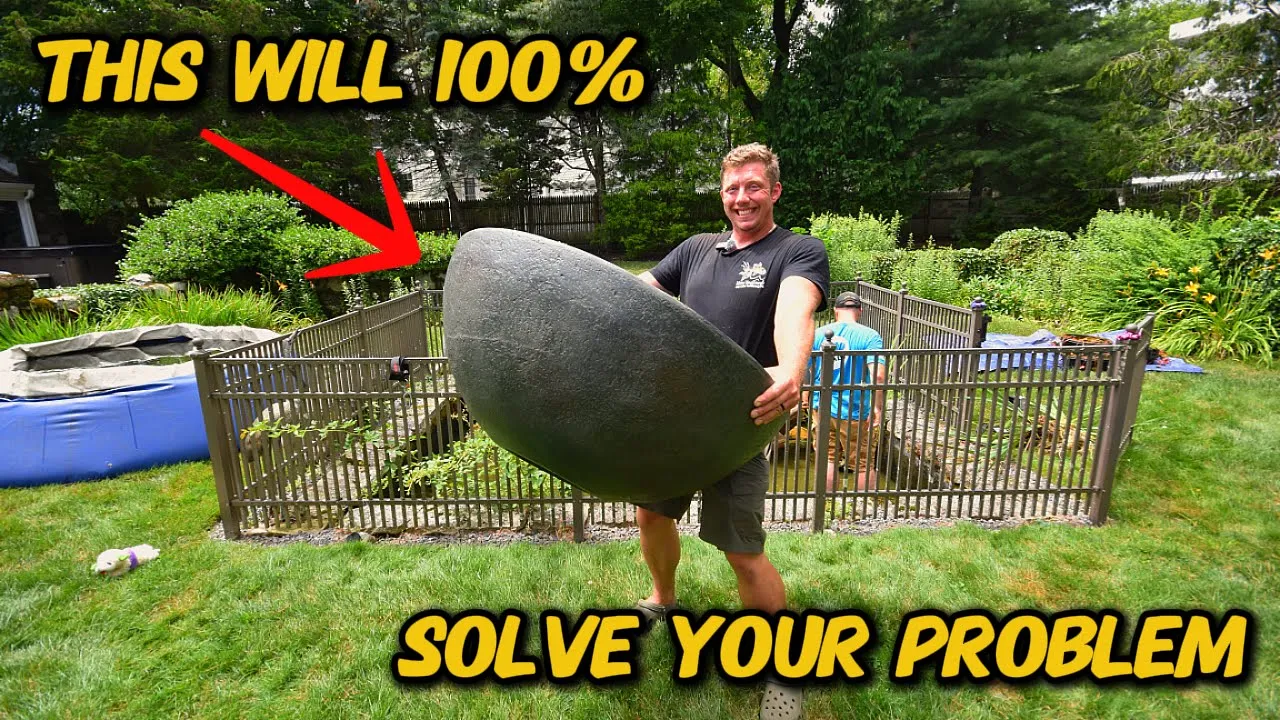 How to Clear Your Pond Water in Just 24 Hours