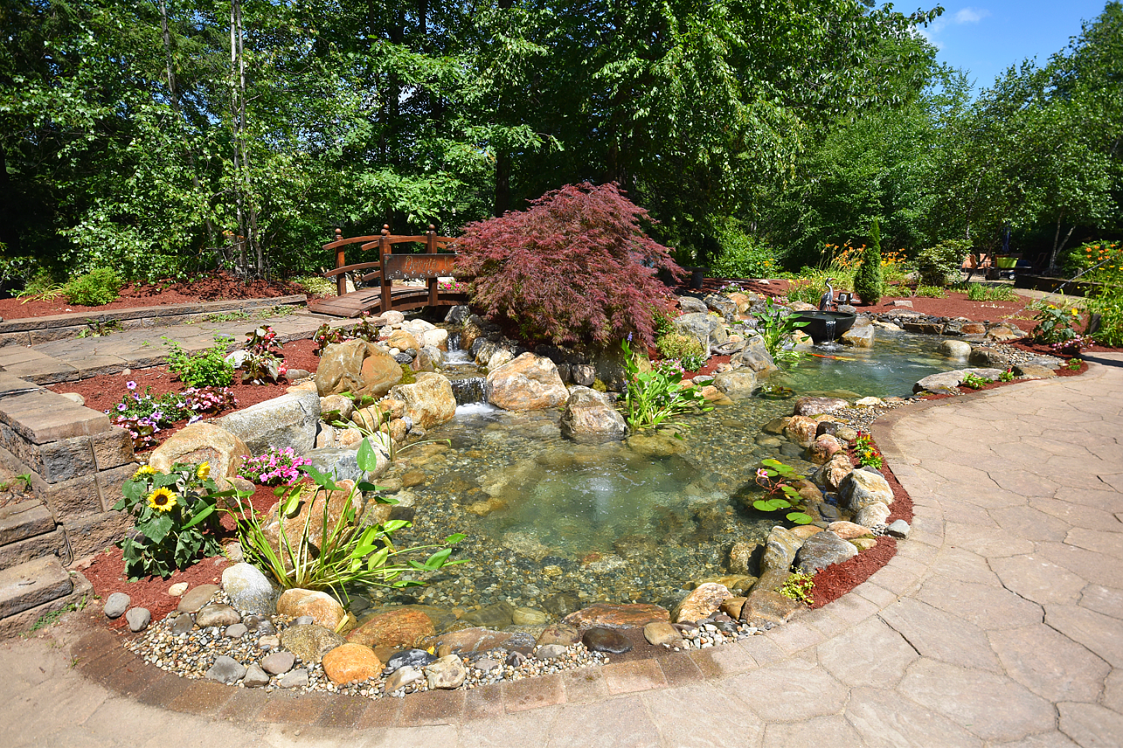 What Is Wetland Filtration? Nature’s Perfect Water Purification System