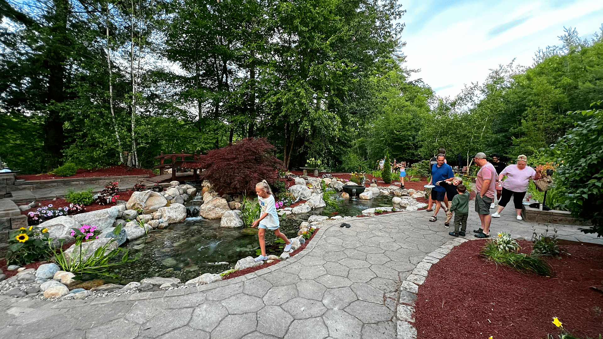 When Your Koi Outgrow Their Home, photo 6