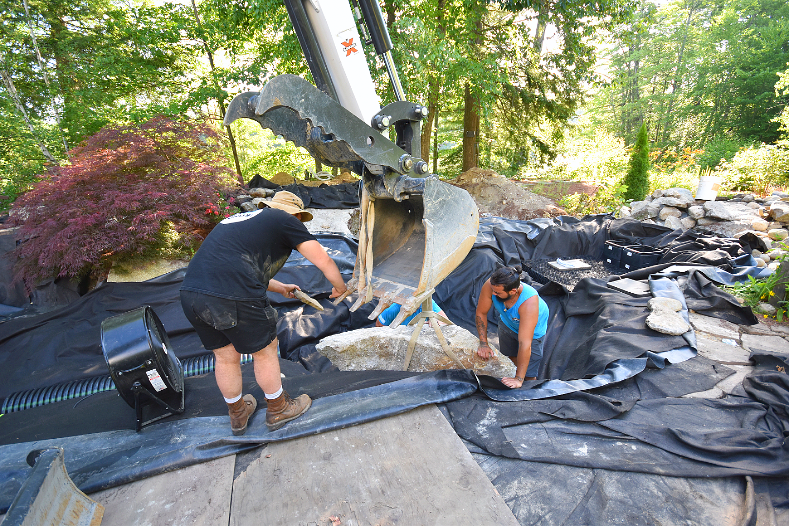 When Your Koi Outgrow Their Home, photo 11