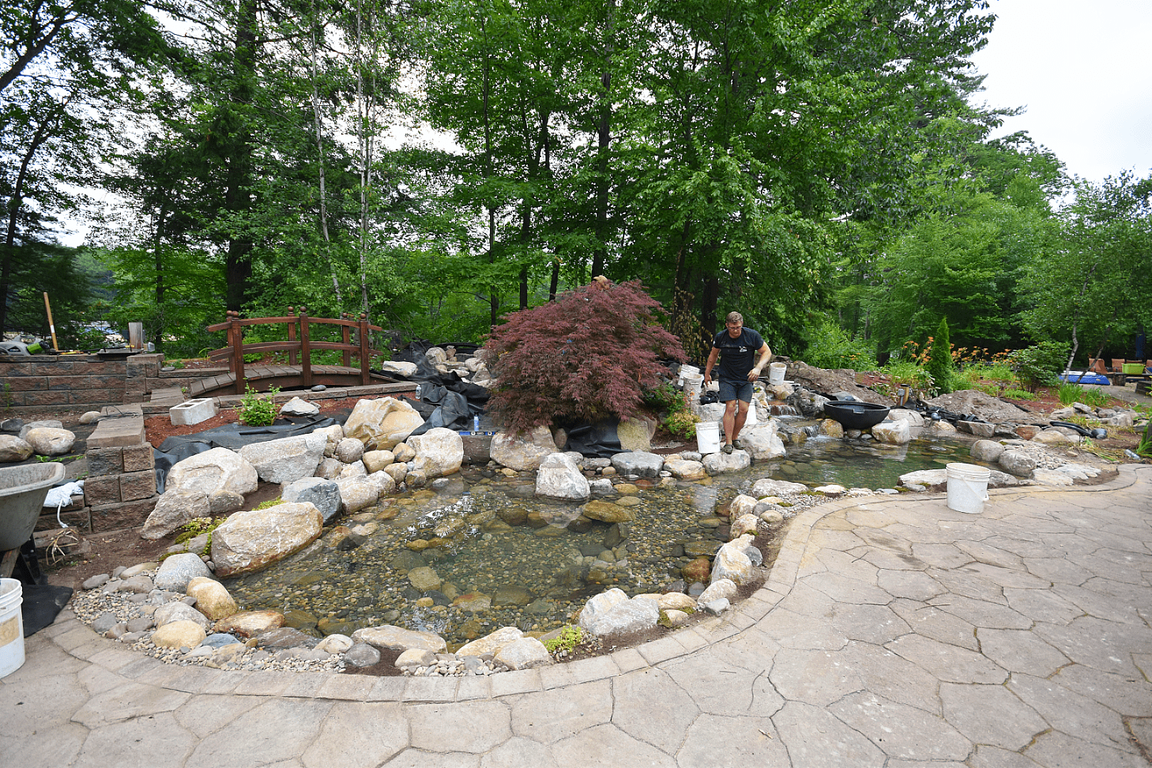 When Your Koi Outgrow Their Home, photo 12