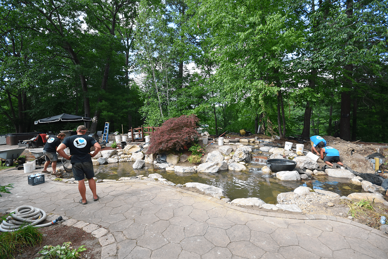 When Your Koi Outgrow Their Home, photo 13