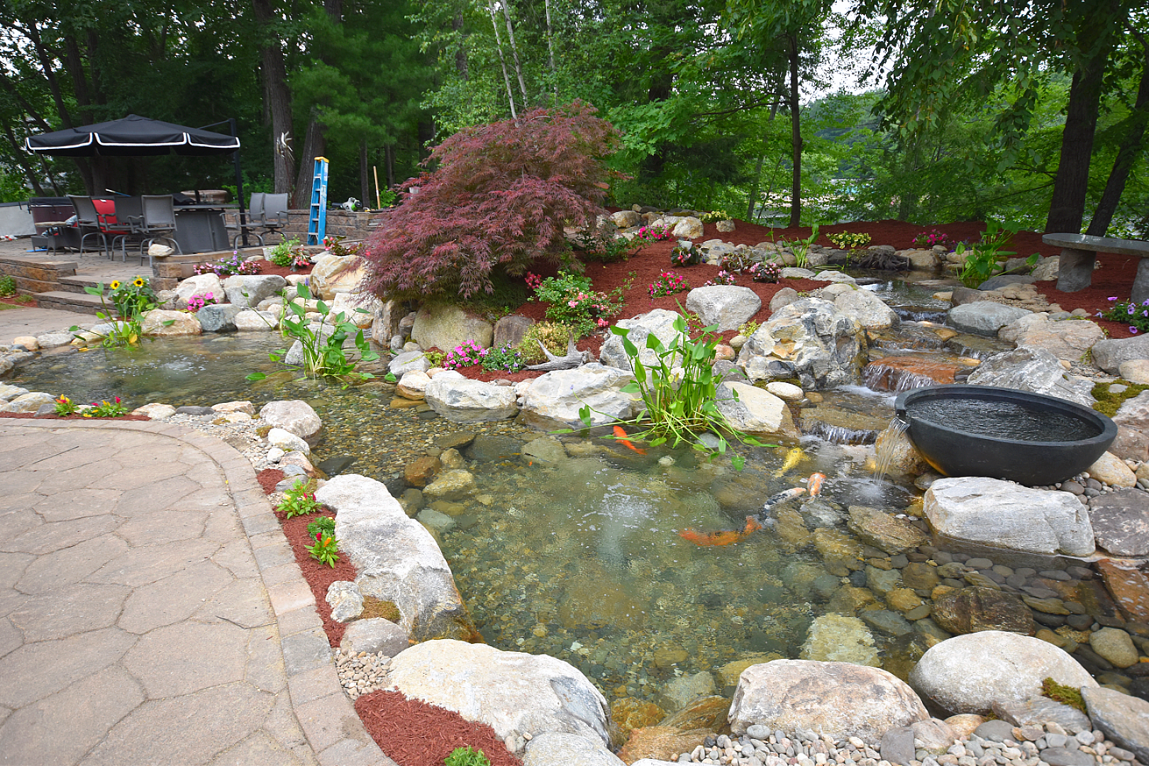A Safe Haven: The Fish Cave