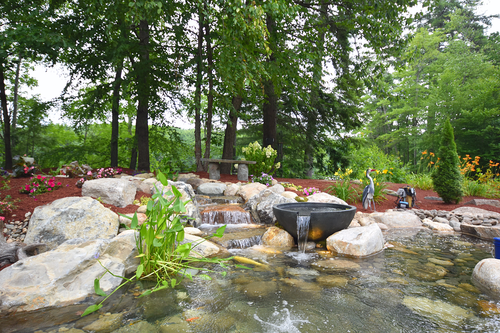 Wetland Filtration: Nature's Water Treatment