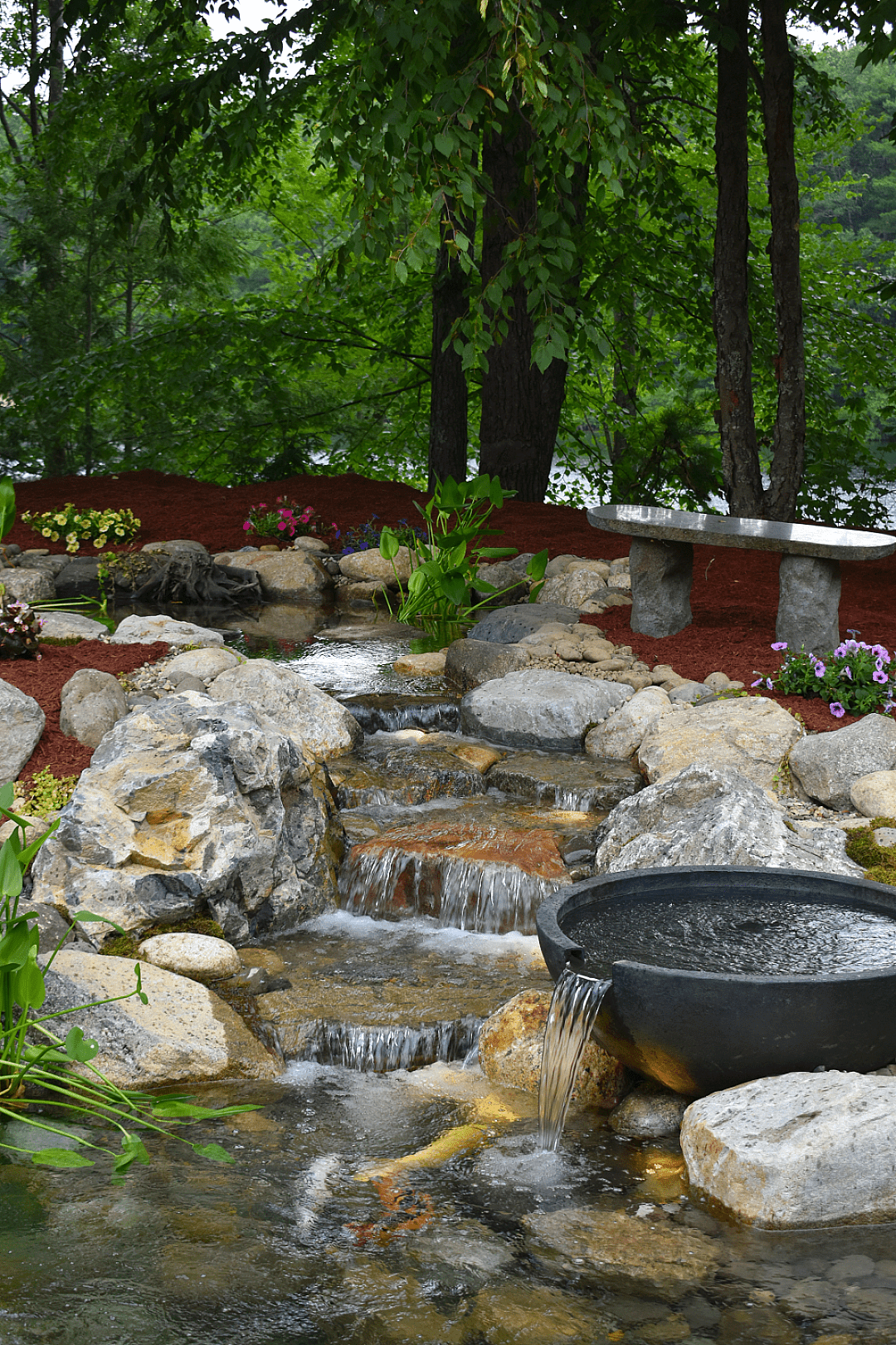 When Your Koi Outgrow Their Home, photo 20