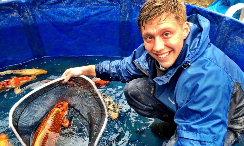 Your Fish Are at the Surface But Are They Ready to Eat?