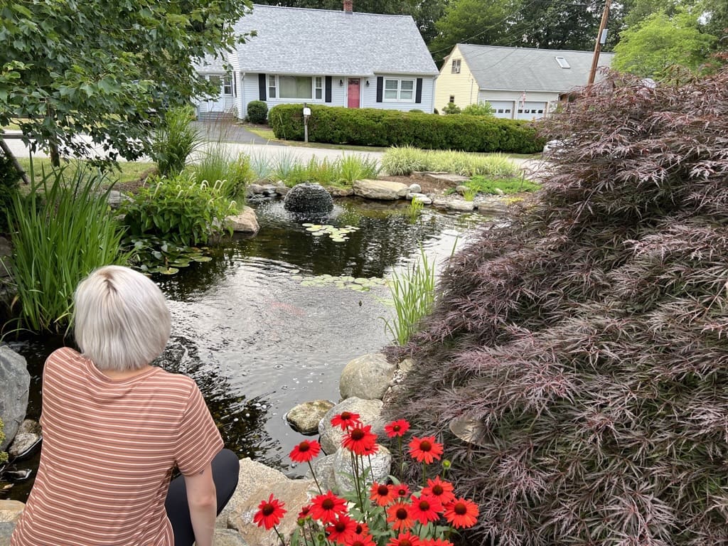Spring Pond Startup Made Easy: A Month-by-Month Guide for Massachusetts Pond Owners