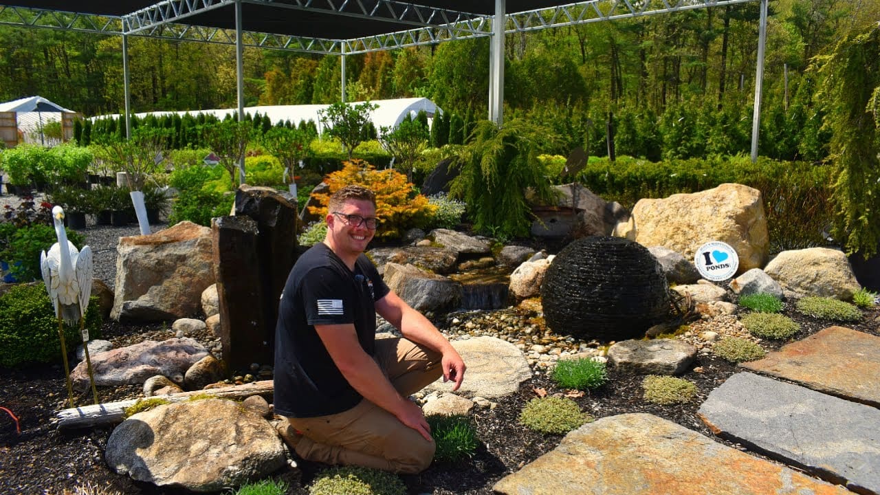 Why We Maintain Ponds Every Two Weeks: Behind the Scenes with Our VIP Service