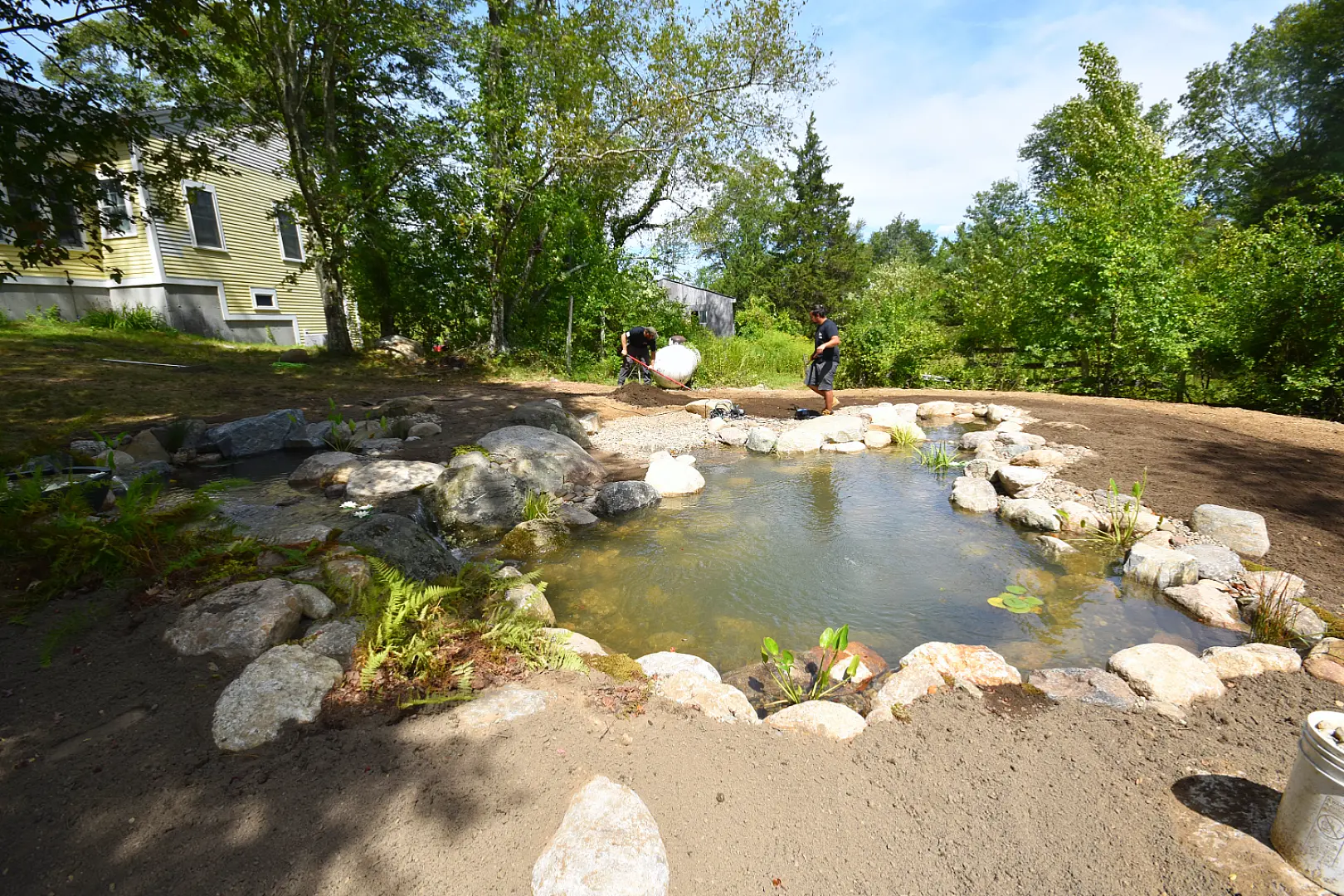 A Swim Pond Built In His Mother's Memory, photo 1