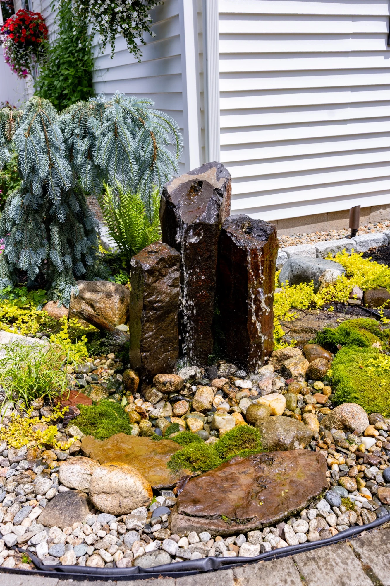 Three basalt columns bubbling water over cobble and moss beside the white siding of the house, with a weeping blue spruce and an uplight