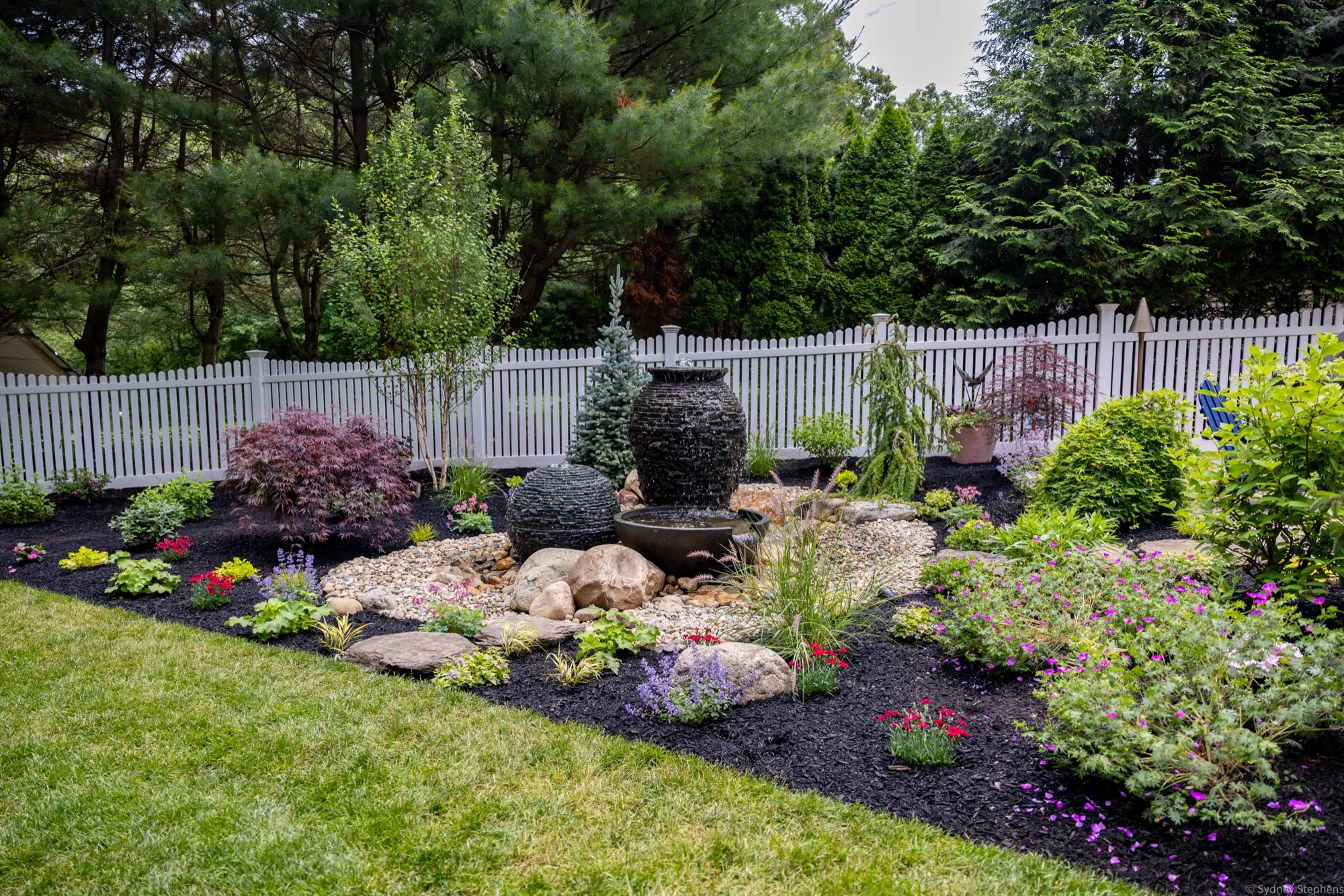 Wide view across the lawn to the fountainscape set in a fresh planting bed with Japanese maples, perennials and black mulch along a white picket fence
