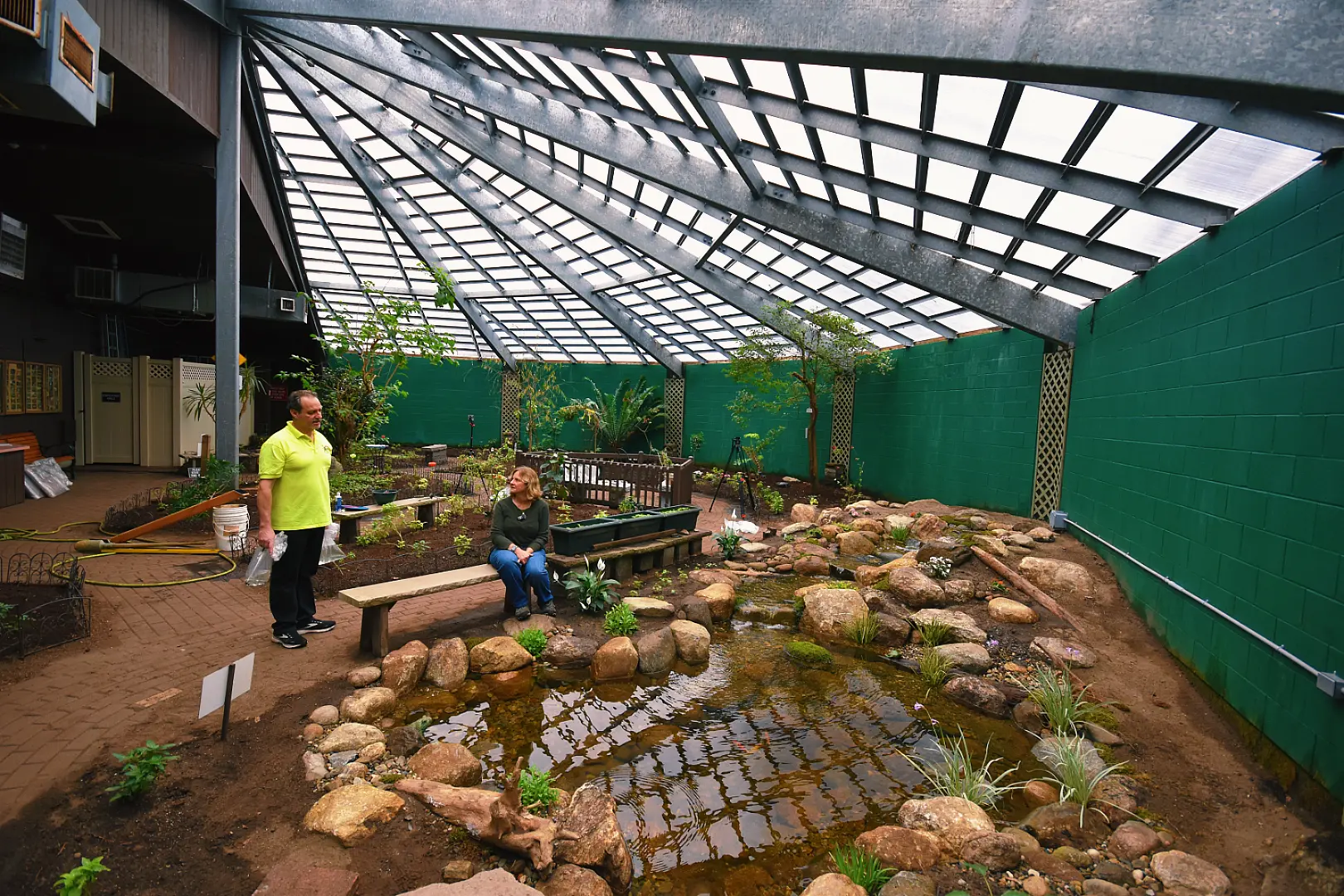 Building A Jungle, Not A Backyard Pond