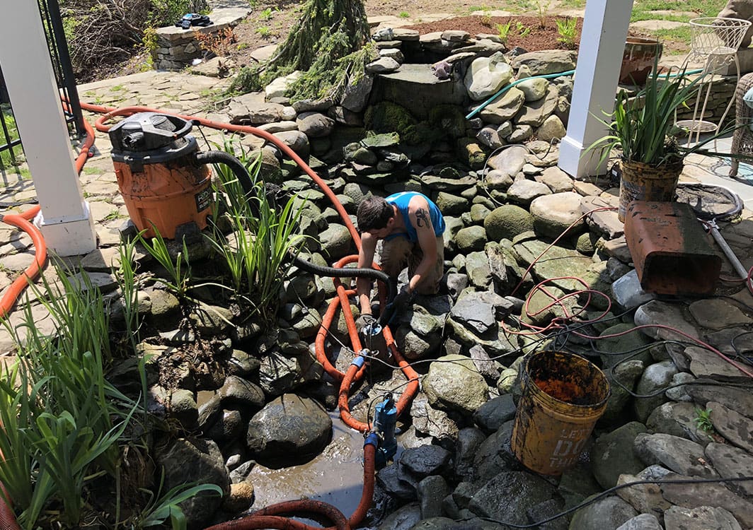 Clear water and healthy koi after a completed spring cleanout