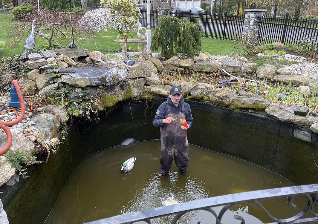 Removing muck and sediment from the bottom of a backyard pond