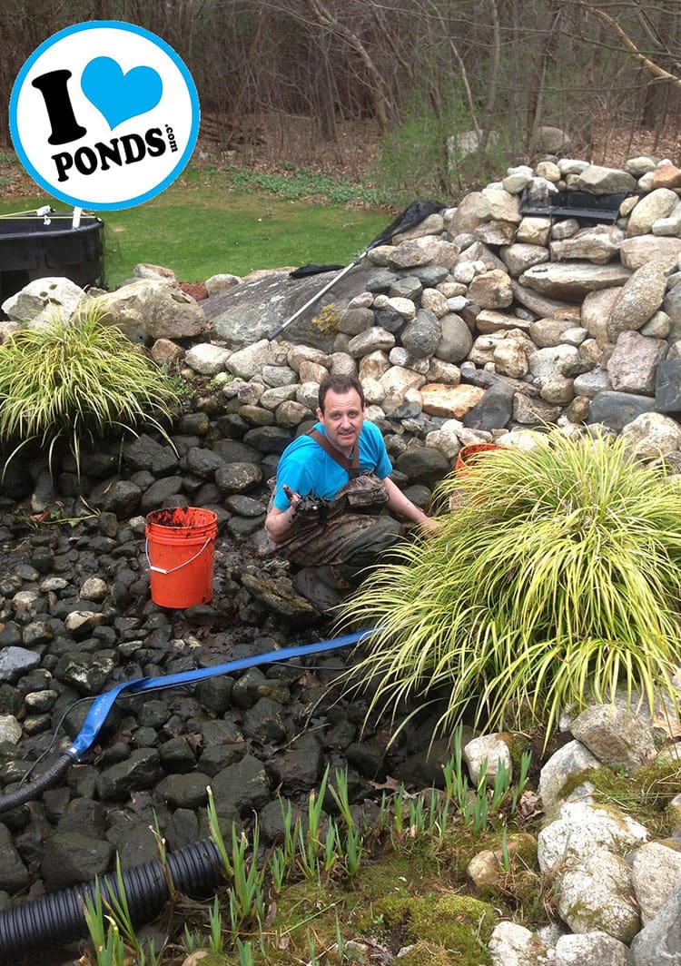 Crew rinsing pond boulders during a spring cleanout