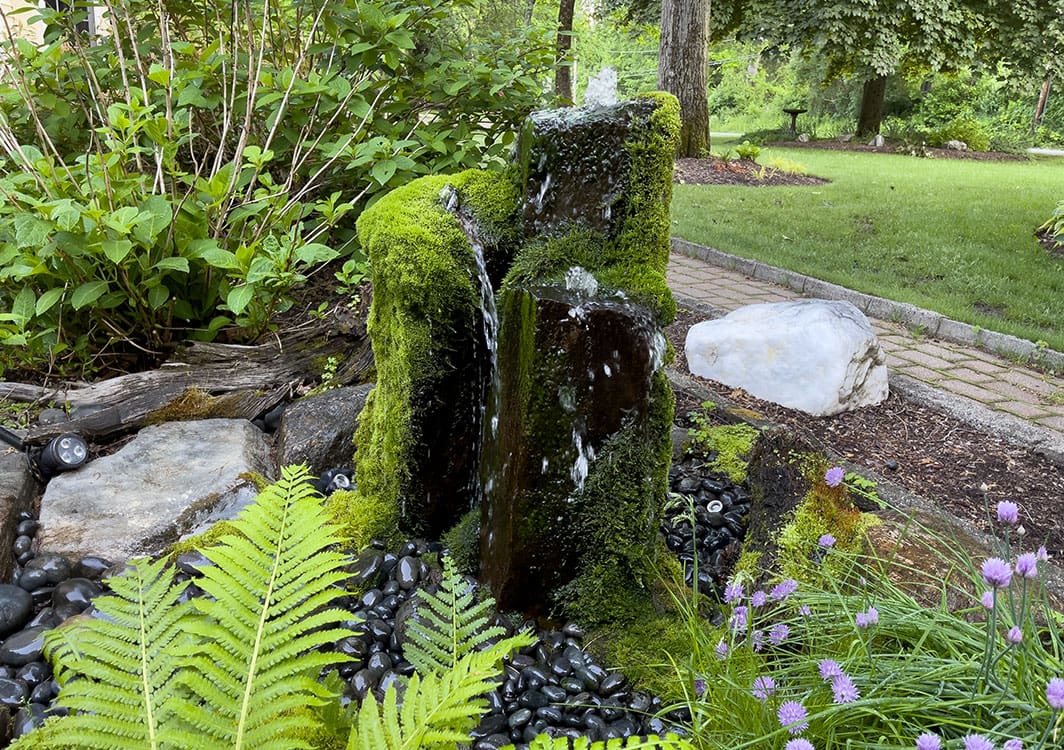 Compact fountainscape for a small backyard