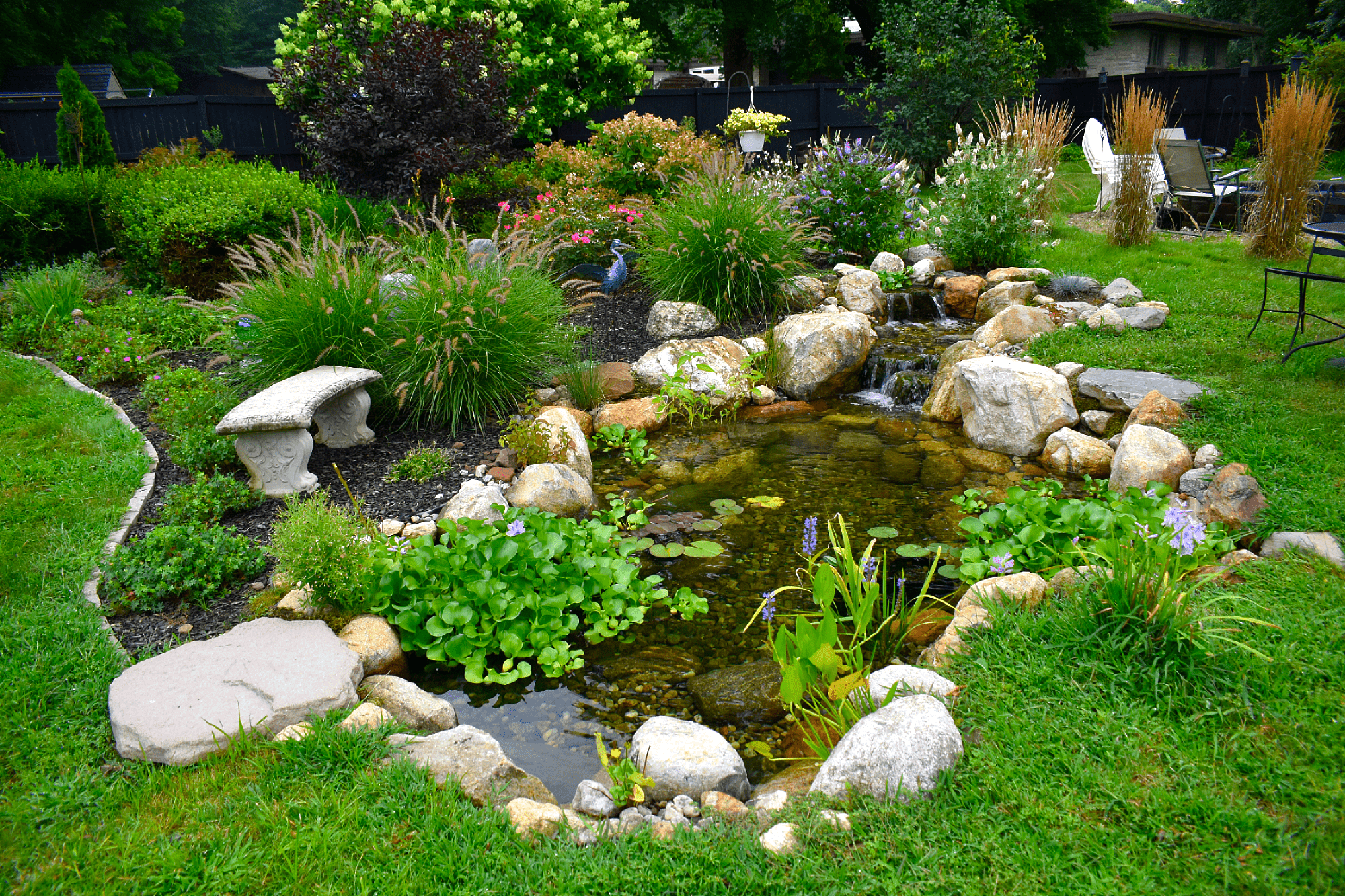 Common Pond Maintenance Challenges & Solutions