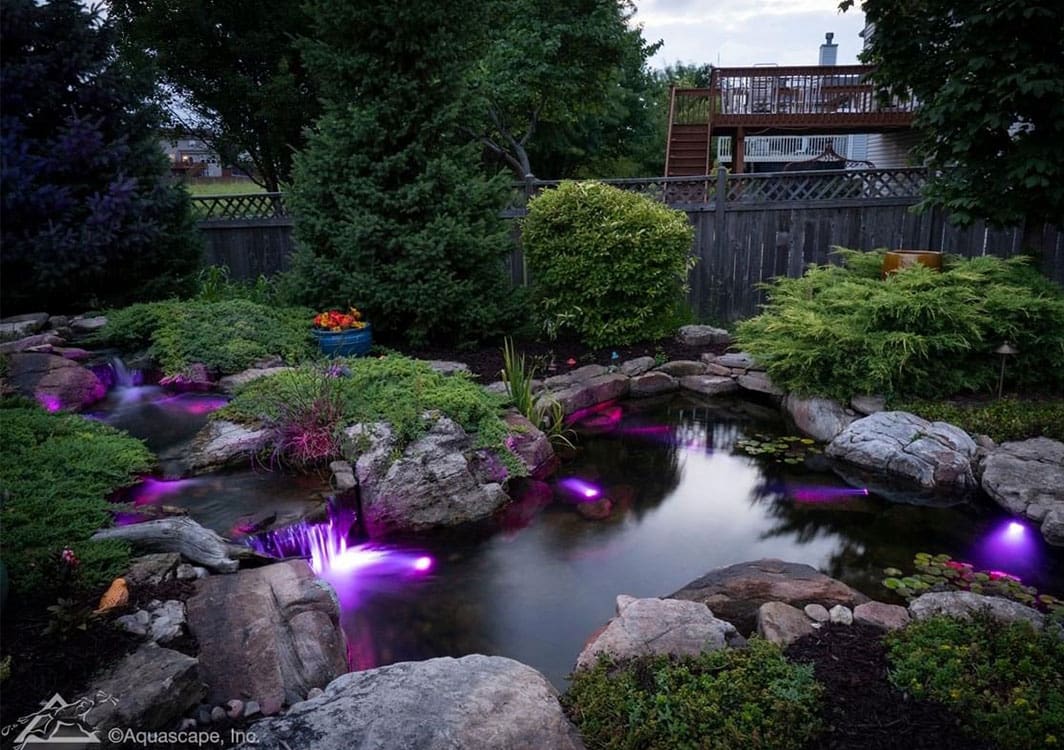 Finished ecosystem pond with a planted natural edge