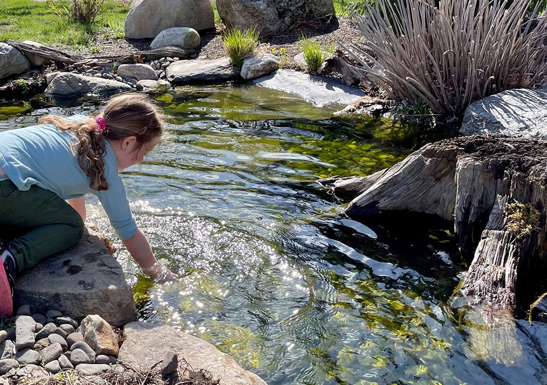 Creating a Backyard Oasis with a Pond in Norfolk County: Tips from the Experts