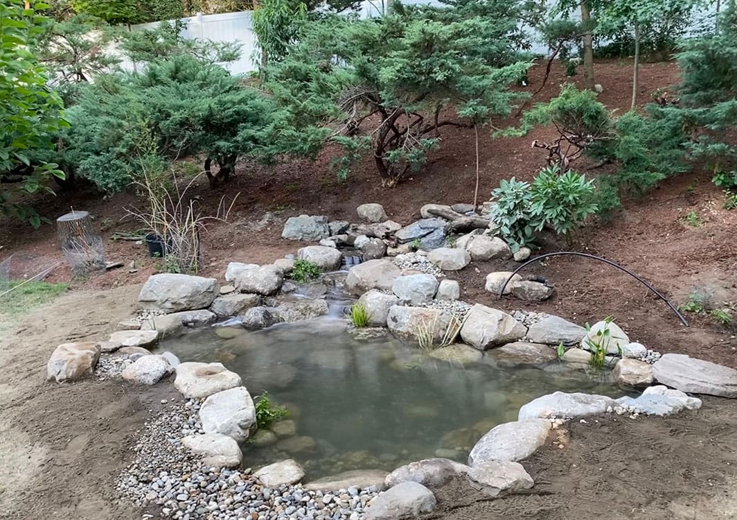 Koi pond with a two-tier waterfall in a suburban backyard