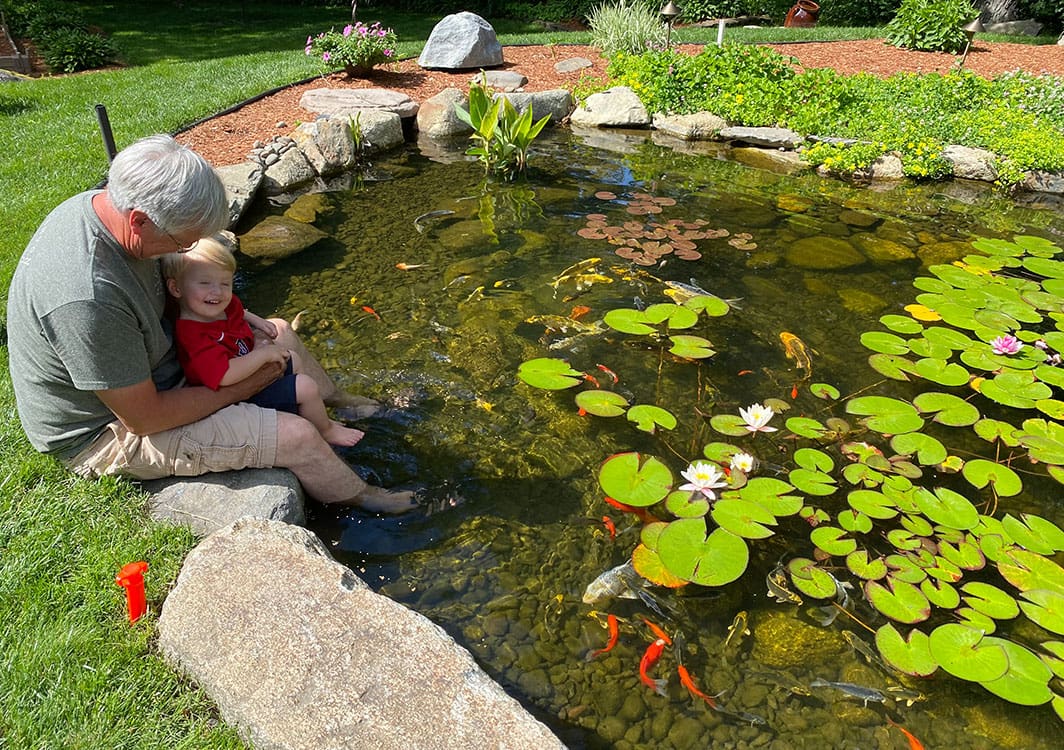 How Do Professional Pond Maintenance Services Ensure Your Water Feature’s Longevity?