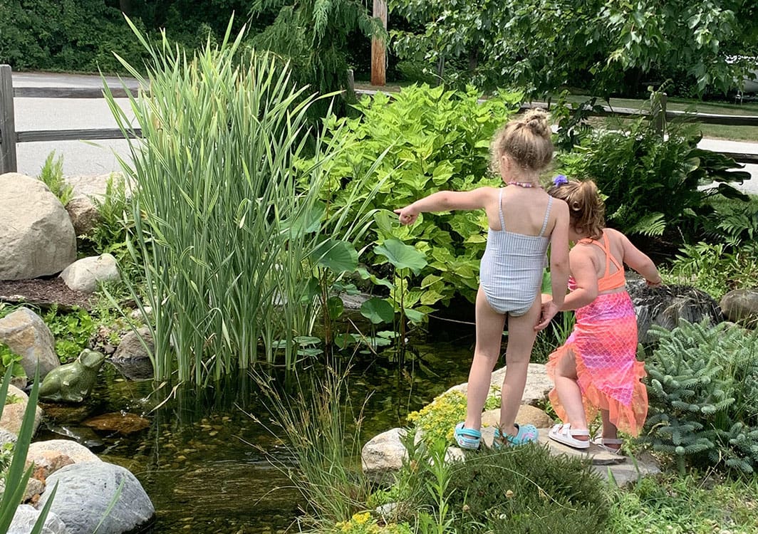 Ecosystem pond built into a sloped New England yard