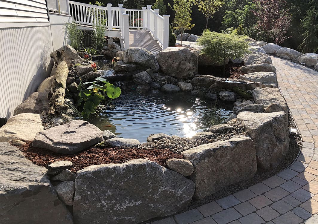 Large koi pond with a wide viewing edge and seating boulder