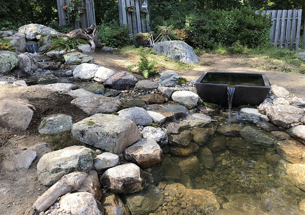 Backyard ecosystem pond with a stone patio edge
