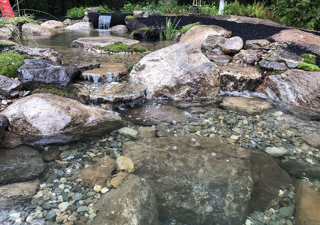 Ecosystem pond lit at dusk after final installation