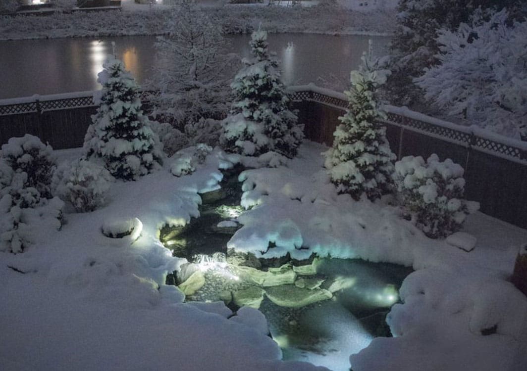 Small backyard ecosystem pond with a single waterfall