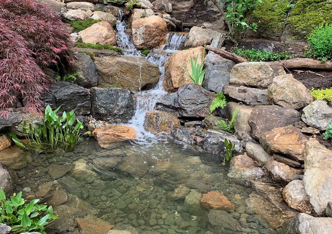 Ecosystem pond with a bridge crossing the stream