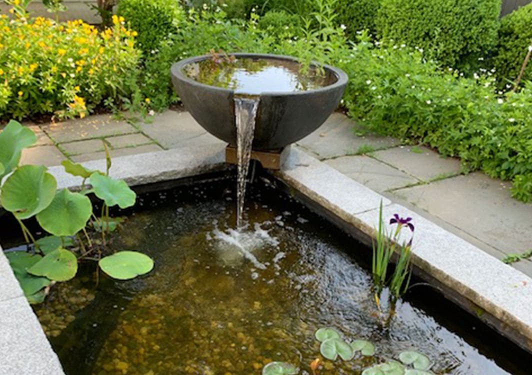 What Water Features Can I Have In My Backyard
