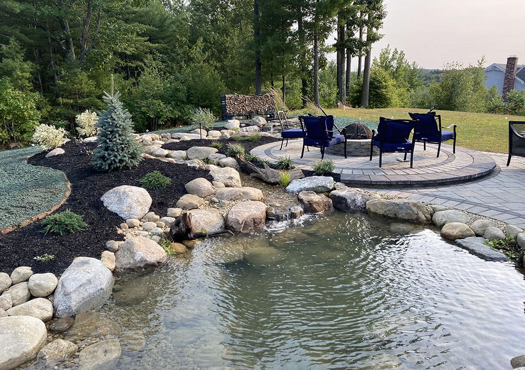 Finished pond with lily pads and marginal plantings