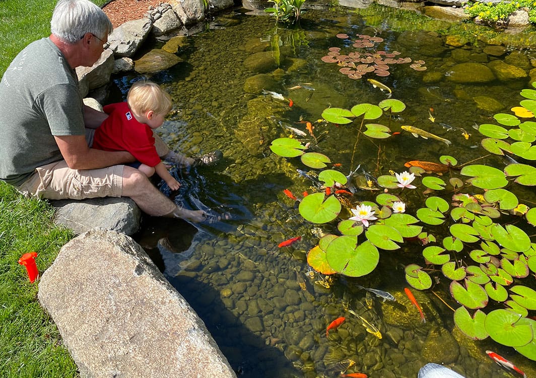 Skimmer and BioFalls filter installed at opposite ends of a new pond