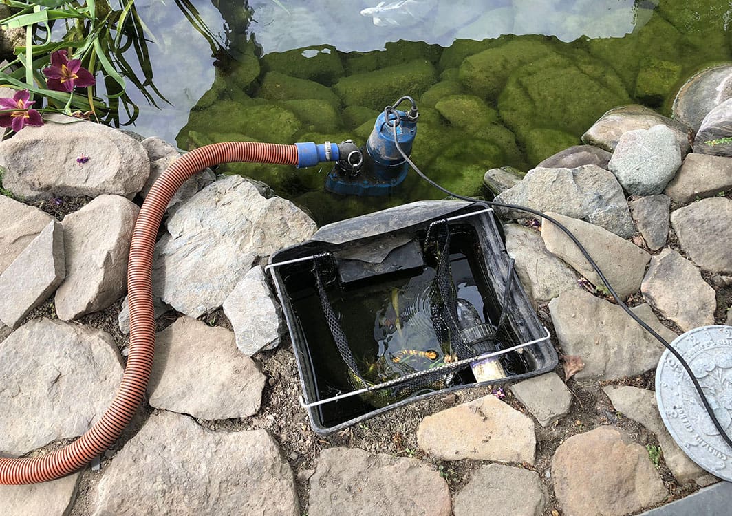 Repaired pond refilled and running clear