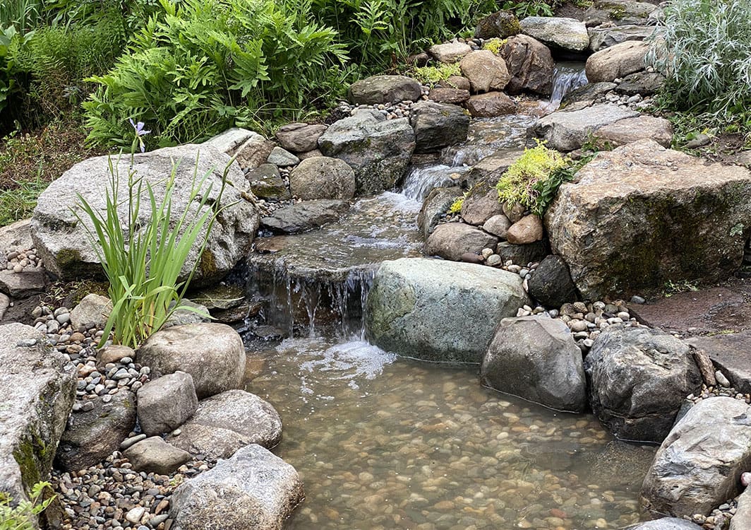 Narrow pondless stream in a small urban yard