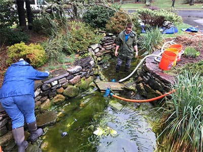 Essential Pond Maintenance Tips for a Thriving Water Garden Year-Round